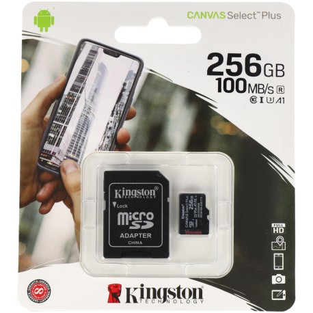 Cartão sd KINGSTON 256 gb